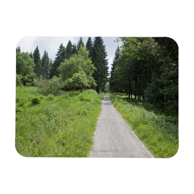 Tyskland, Thuringia, väg i skog Magnet (Horisontell)