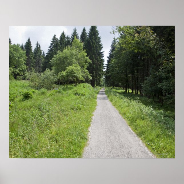 Tyskland, Thuringia, väg i skog Poster (Framsidan)