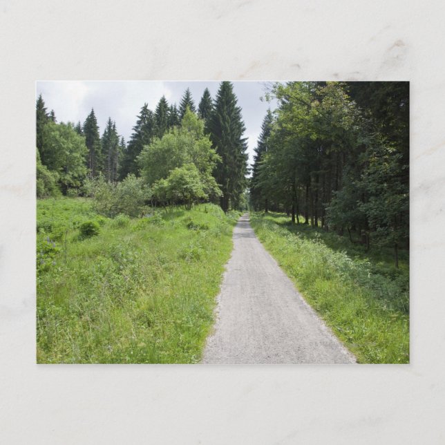Tyskland, Thuringia, väg i skog Vykort (Framsida)