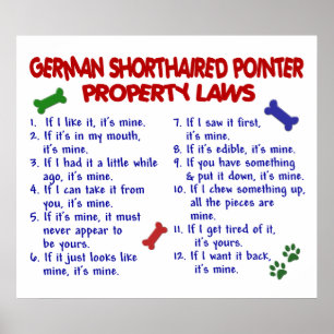 TYSKLANDS KORTADE PUNKT PL2 POSTER