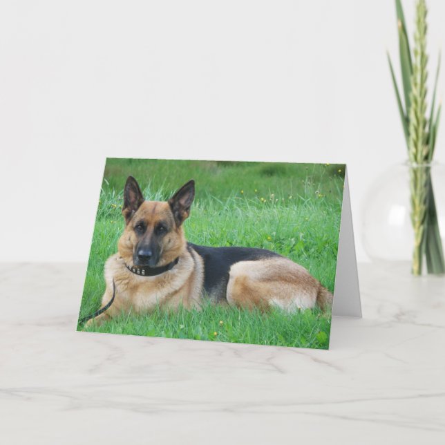 Tyskt ark - Hund Greeting Card Kort (Framsida)