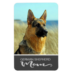 Tyskt din hund för herdemamma mellanlägg foto magnet