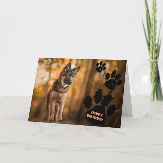 Tyskt födelsedagskort för shepherd puppy. kort (Framsida)