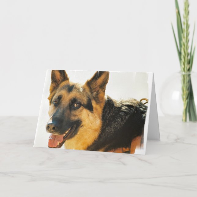 Tyskt foto-hälsningskort för Shepherd Hund Kort (Framsida)