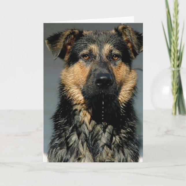 Tyskt hälsningskort för Shepherd Hund Kort (Framsida)
