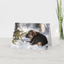 Tyskt herdekort för god jul helgkort