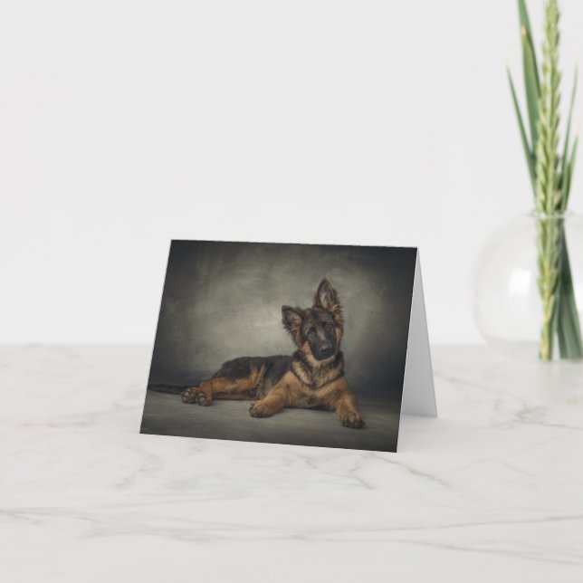 Tyskt herdevalpkort kort (Framsida)