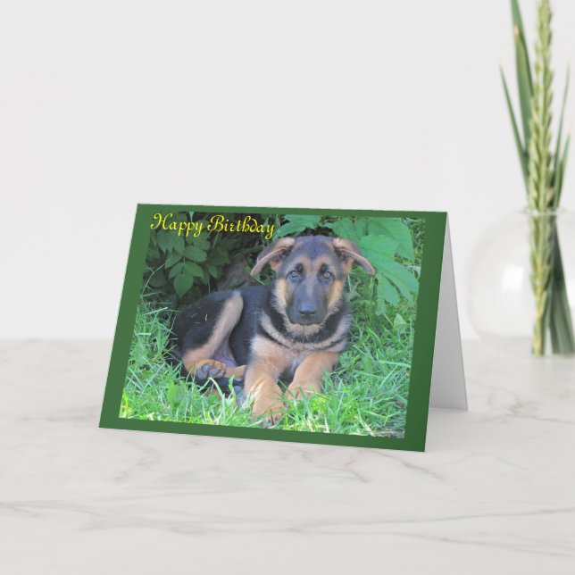 Tyskt jepherd puppy Birthday-kort Kort (Framsida)