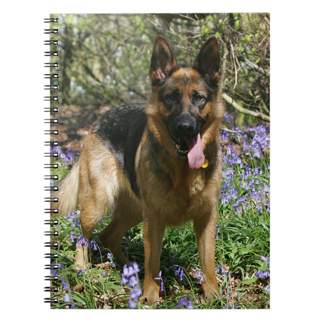 Tyskt lägga för herde besegrar anteckningsbok med spiral (Framsidan)