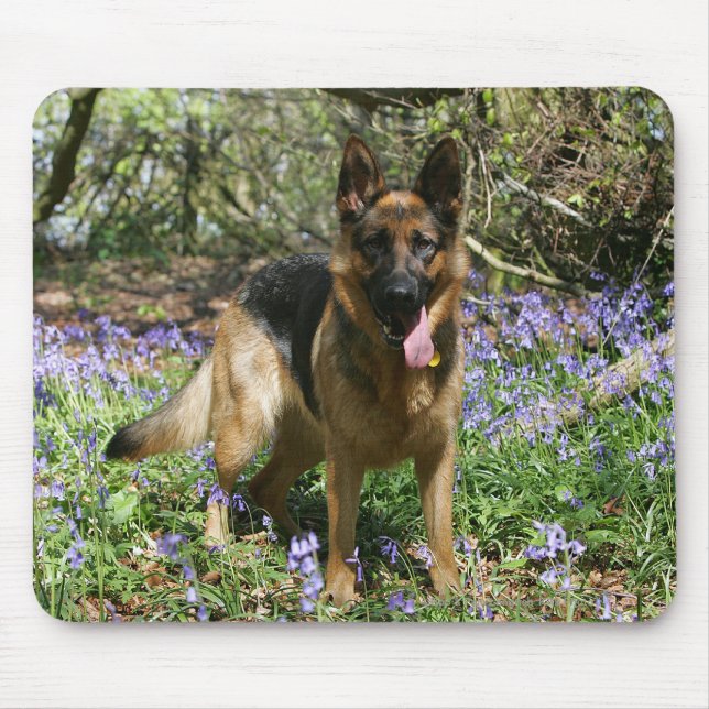 Tyskt lägga för herde besegrar musmatta (Framsidan)