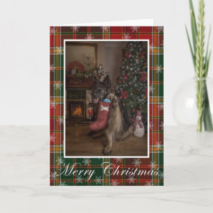 Tyskt skvallerchristmas-kort kort