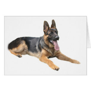 Tyskt skvallerkort hälsningskort