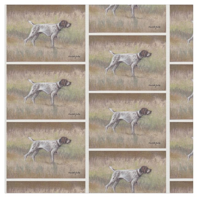 Tyskt tyg för konst för Shorthair pekarehund (Närbild)