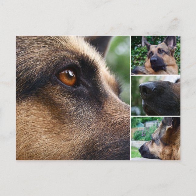 Tyskt vykort (Framsida)