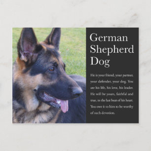 Tyskt vykort