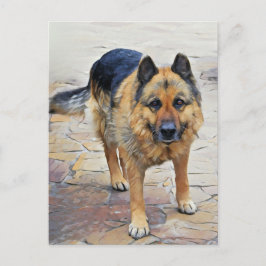 Tyskt vykort för Shepherd Hund