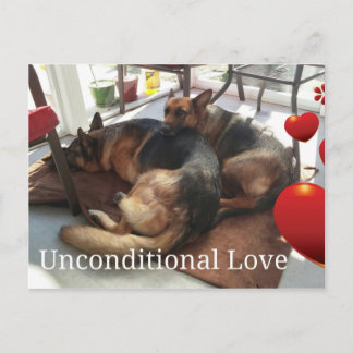 Tyskt vykort för Shepherd Hund