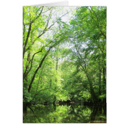 Tyst Bäck Hälsningskort