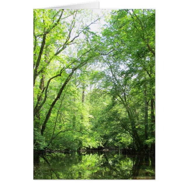 Tyst Bäck Hälsningskort (Framsidan)