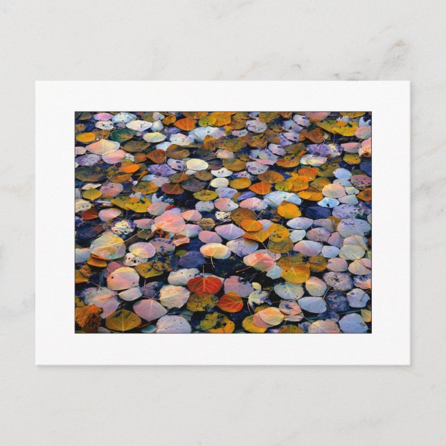 "Tyst drivrutin" Vykort (Framsida)