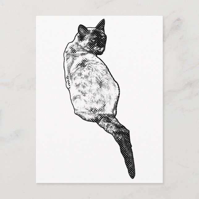 Tyst Katt, Milda Hälsningar Vykort (Framsida)