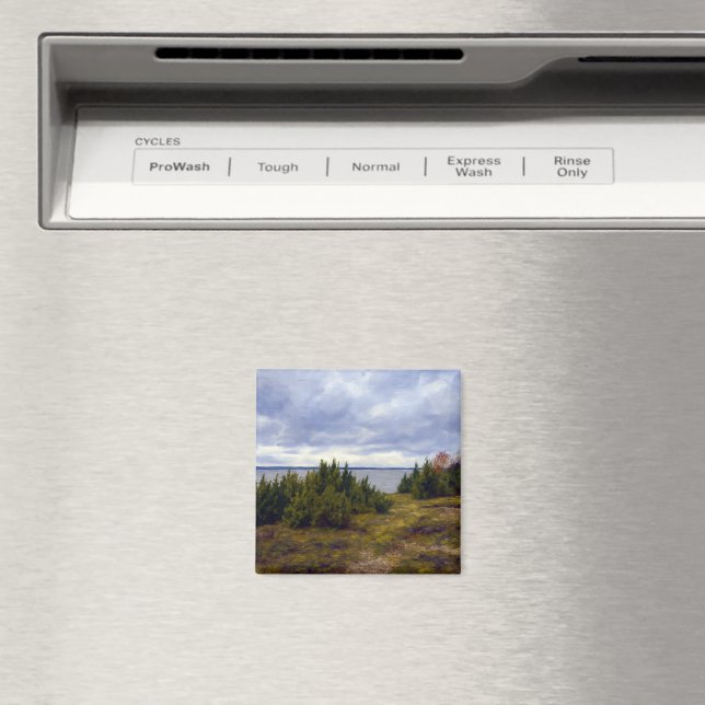 Tyst kust på Vormsi Magnet (In Situ (Dishwasher))