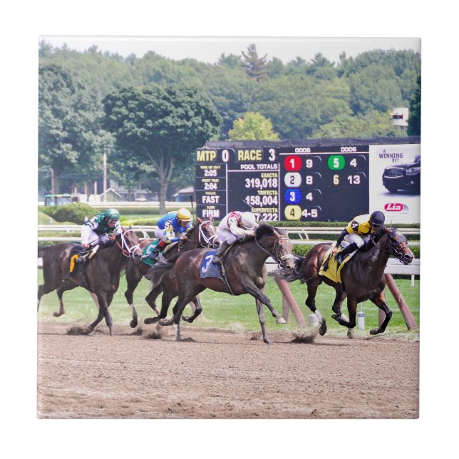 Tyst linjalspringor besegrar lägenhetjacken kakelplatta (Framsidan)