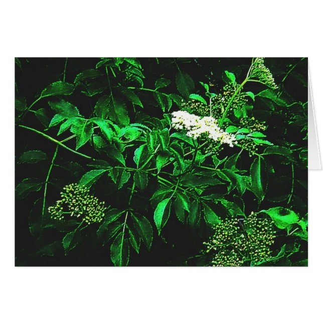 tyst lugn hälsningskort (Framsidan Horizontal)