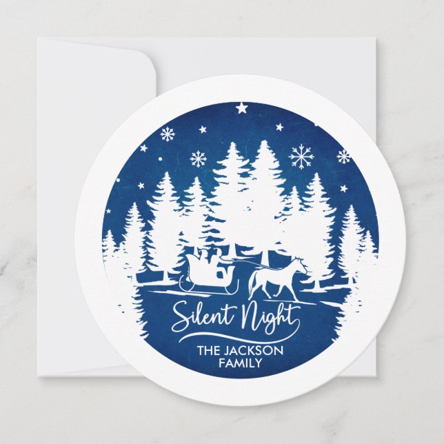 Tyst nattslätt gräs silhouettes snöflingor (Framsida)