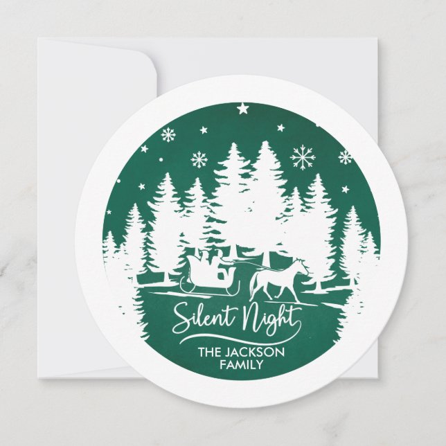 Tyst nattslätt gräs silhouettes snöflingor (Framsida)
