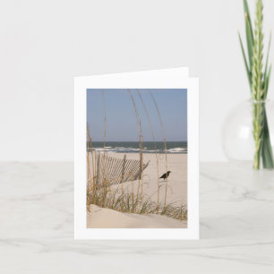 Tyst ögonblick på en Hilton Head strand Kort