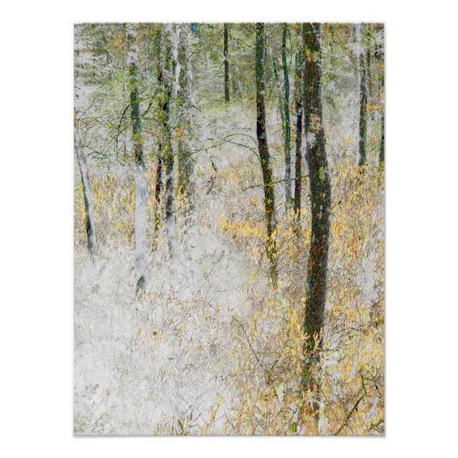 "Tyst" - Omformat foto av träd i en skog (Framsidan)