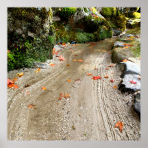 Tyst Passage — Japansk Wabi-Sabi Fotoposter