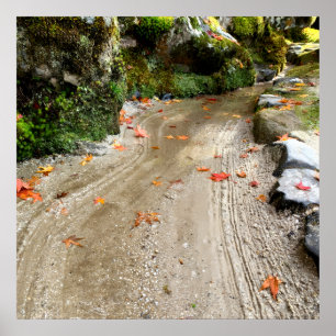 Tyst Passage — Japansk Wabi-Sabi Fotoposter Poster