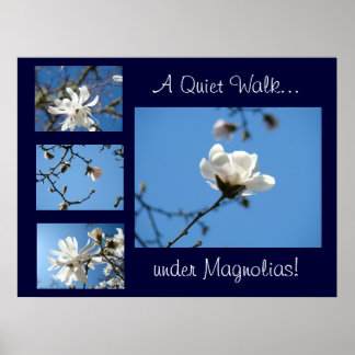 Tyst promenad under magnolior! konsttryck gåvor Bl Poster