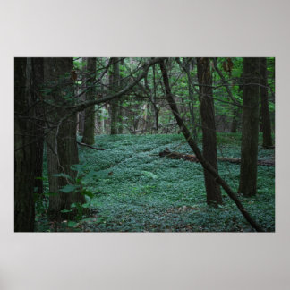 Tyst skog poster