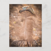Tyst sommarmoment | Sacramento Natur