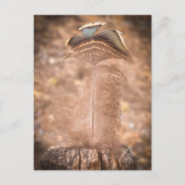 Tyst sommarmoment | Sacramento Natur Vykort