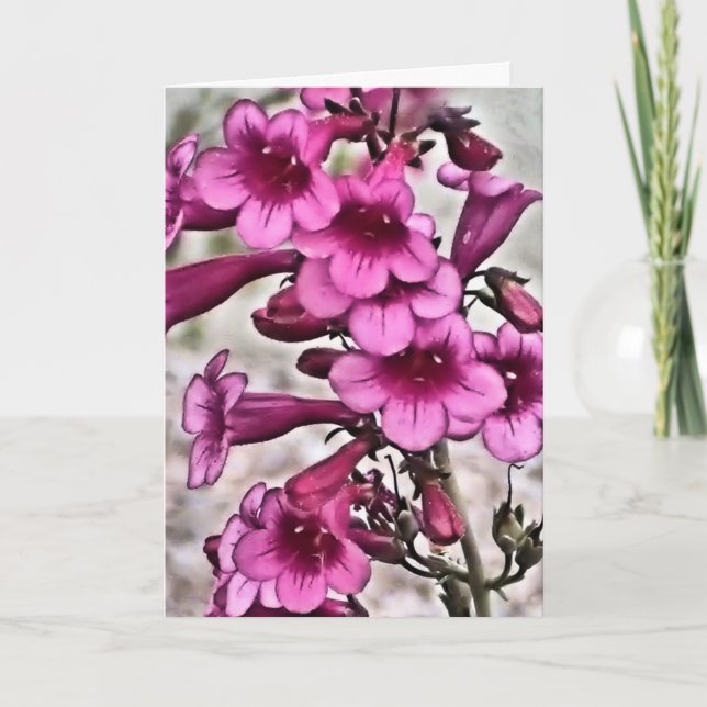 Tyst, spanska valentines day-kort helgkort (Framsida)