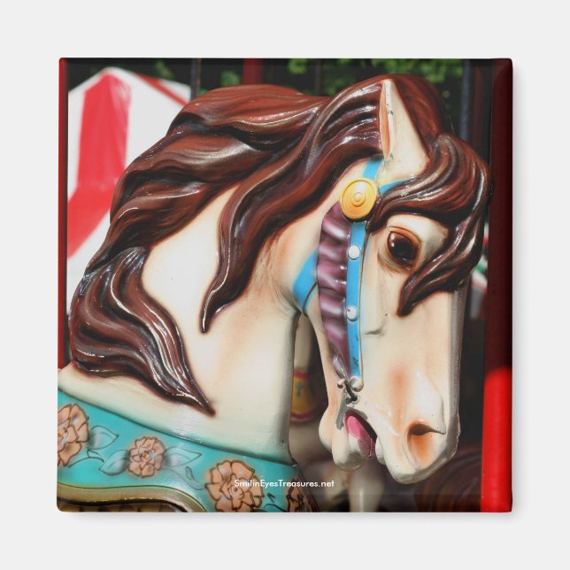 Tyst styrd karousel-fotografi magnet (Framsidan)