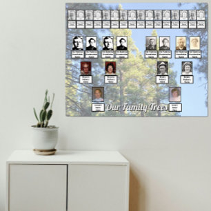 Tyst tallskogsfoto med två familjeträd poster