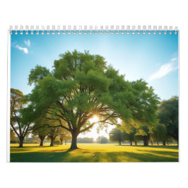 Tyst Tid Med Ett Stort Träd Kalender