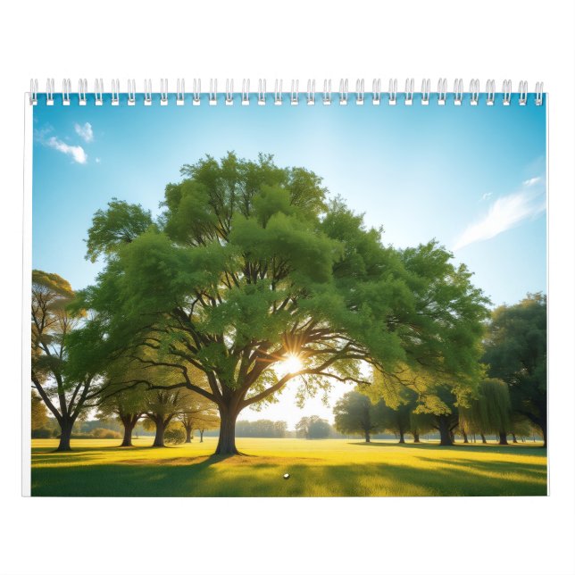 Tyst Tid Med Ett Stort Träd  Kalender (Omslag)