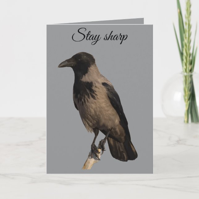Tyst Tittare Kråka Kort (Framsida)