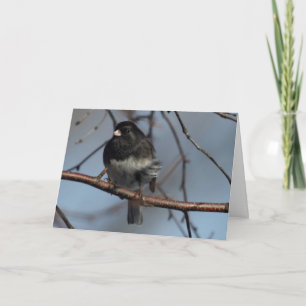 Tyst underkläder, tomt i hälsningskort Junco Kort