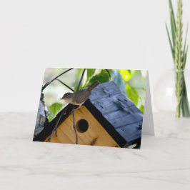 Tyst underverk blankt hälsningskort Wren Kort