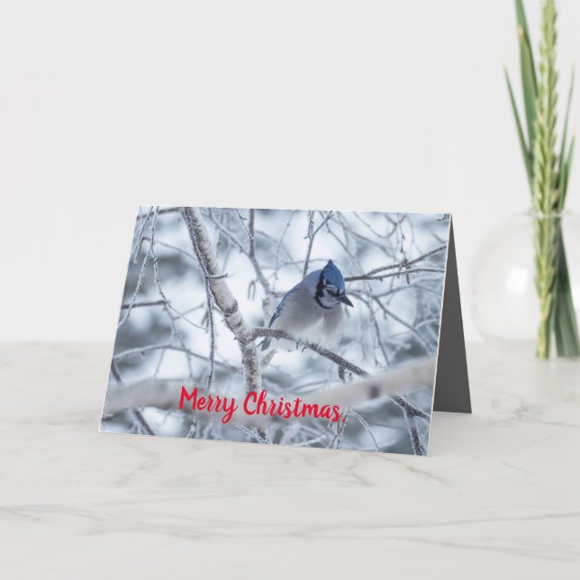 Tyst Wonders jul Card Blue Jay Tack Kort (Framsida)