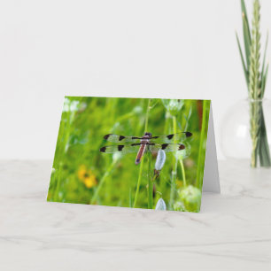 Tysta frågor: tomt hälsningskort Dragonfly Kort