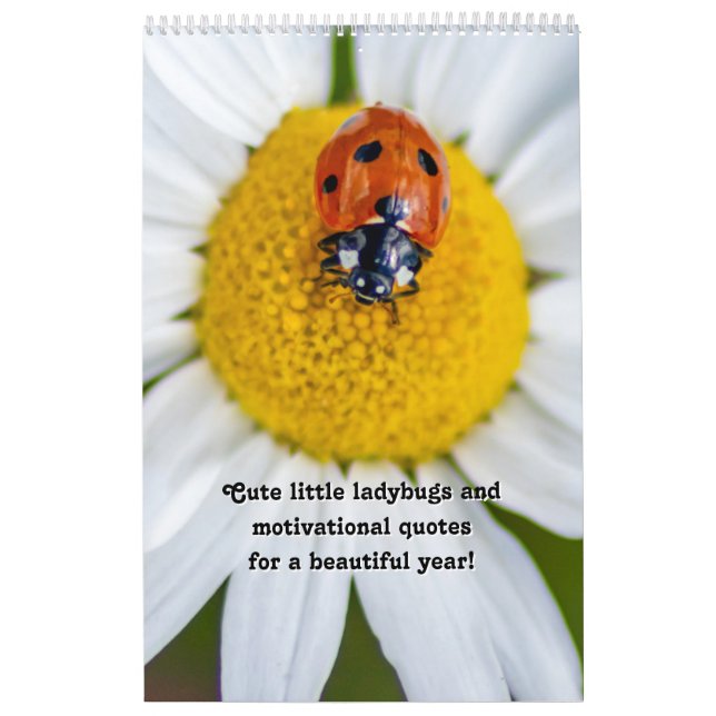 Tysta lilla nyckelord och motiveringscitat kalender (Omslag)