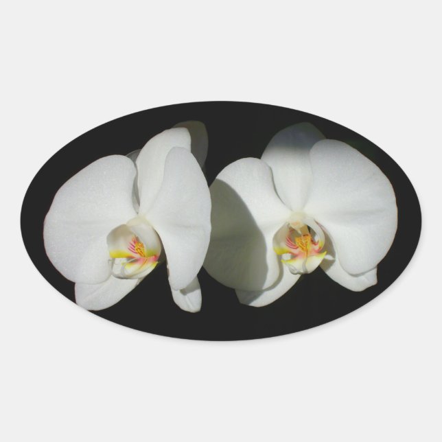 Tysta ögonblick ovalt klistermärke (Framsida)